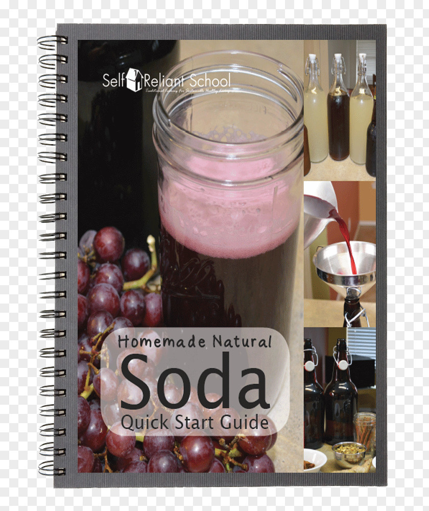 Quick Start Guide Flavor By Bob Holmes, Jonathan Yen (narrator) (9781515966647) Juicy M PNG