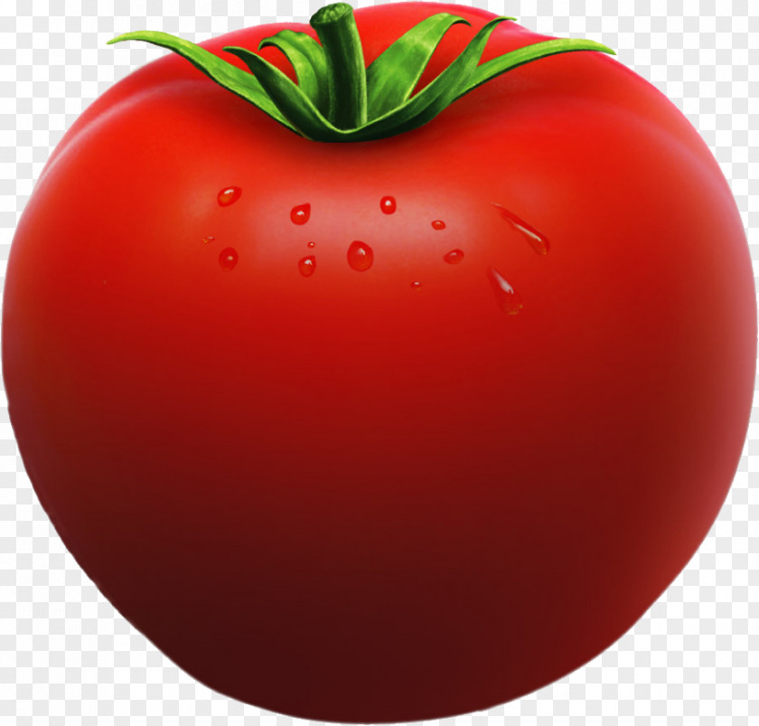 Tomato Vegetable Clip Art PNG