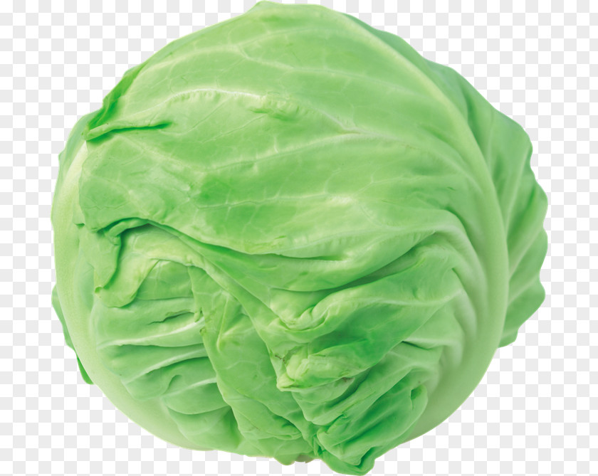 Cabbage Chinese Red Clip Art PNG