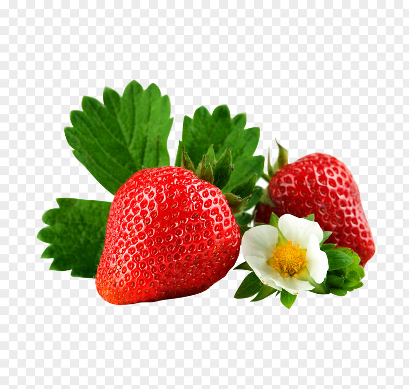 Decorative Pattern Strawberry Baby Food Fruit Infant Flower PNG