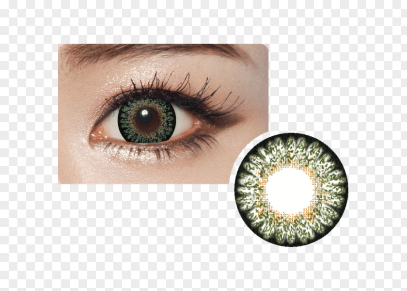 Eye Circle Contact Lens Lenses Brown Color Green PNG