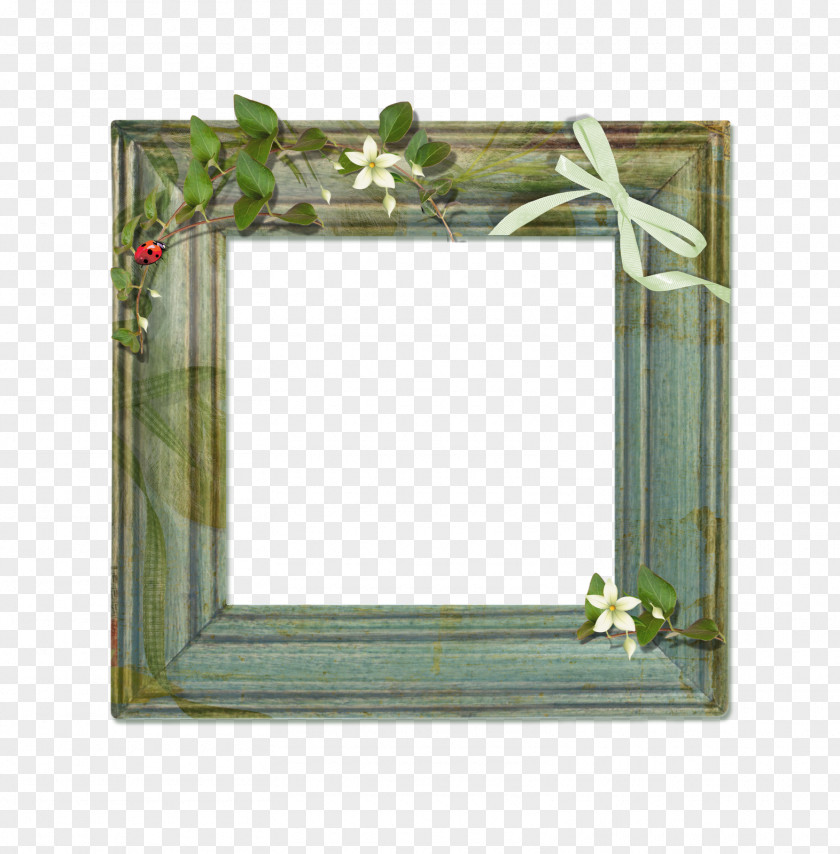 Interior Design Mirror Green Background Frame PNG