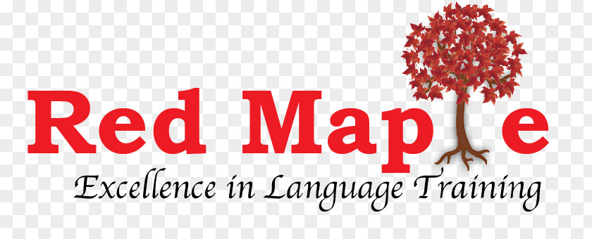 Red Maple (idiomas) Logo Economy Font Market PNG
