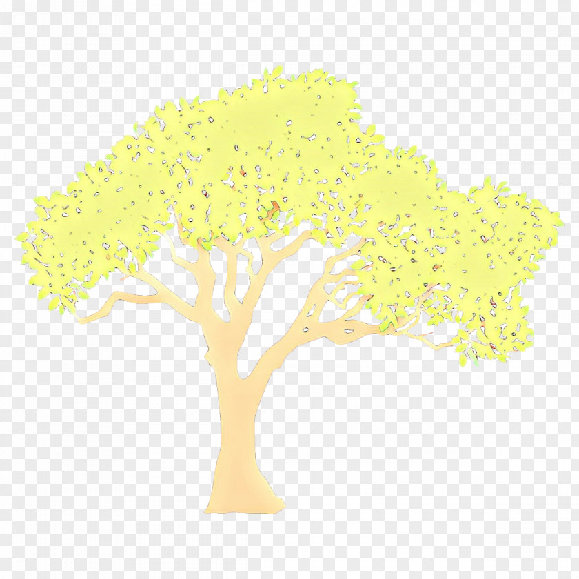 Yellow Tree Woody Plant Branch PNG
