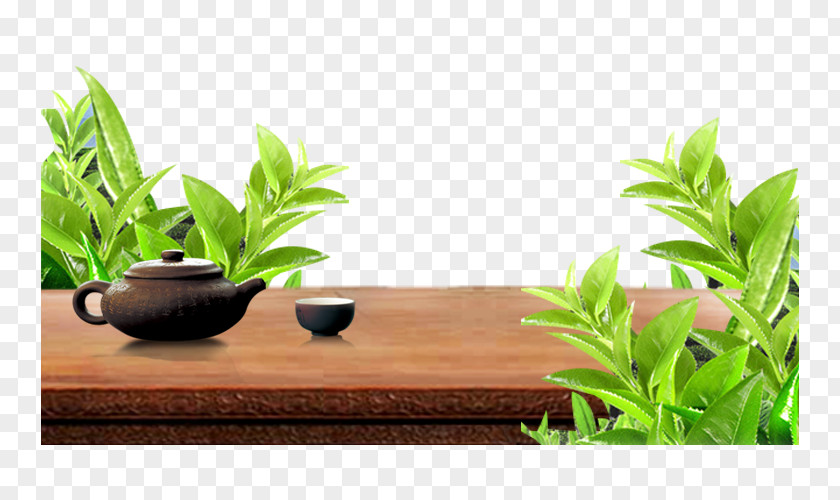Green Leaves Layered Decorative Teapot Image Icon PNG