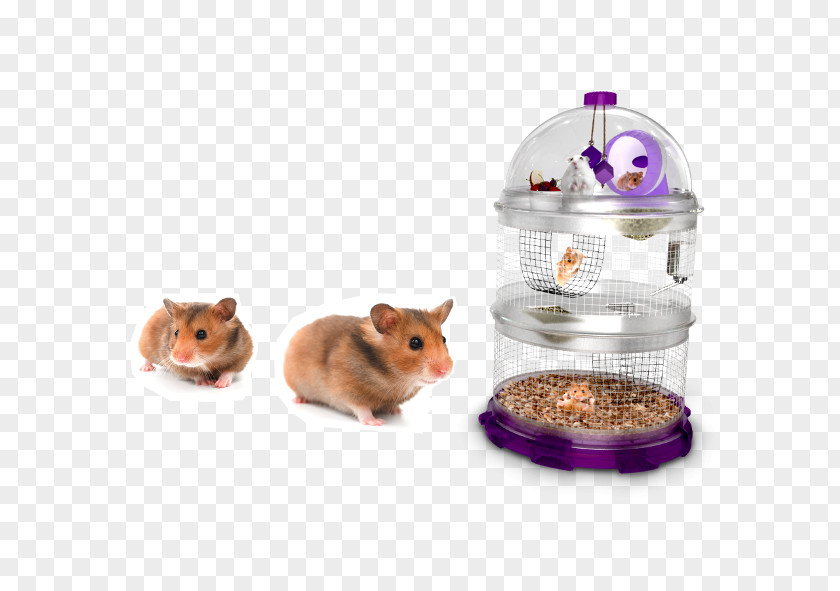 Mouse Hamster Cage Gerbil Roborovski PNG