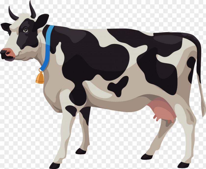 Vector Cartoon Cows Cattle Stock Illustration Photography PNG