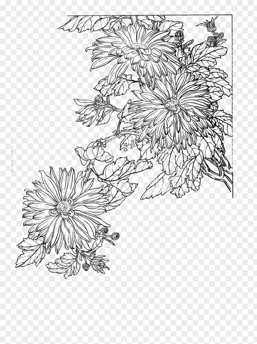 Chrysanthemum Gongbi Flower Four Gentlemen PNG