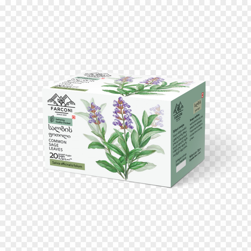 Common Sage Herbalism PNG