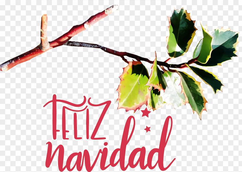 Feliz Navidad Merry Christmas PNG