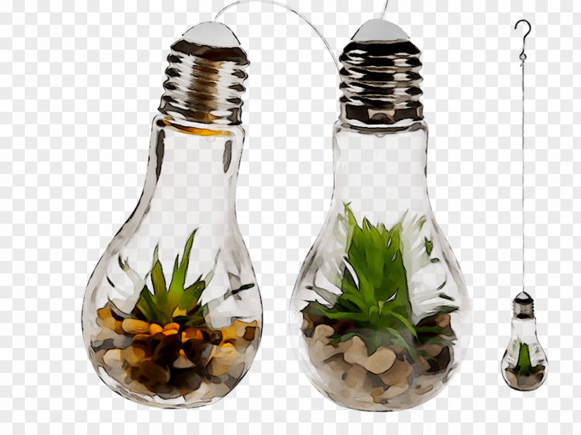 Glass Bottle Salt & Pepper Shakers Plants PNG