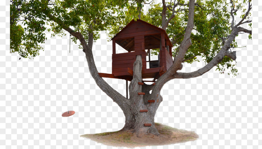 House Tree Building PNG