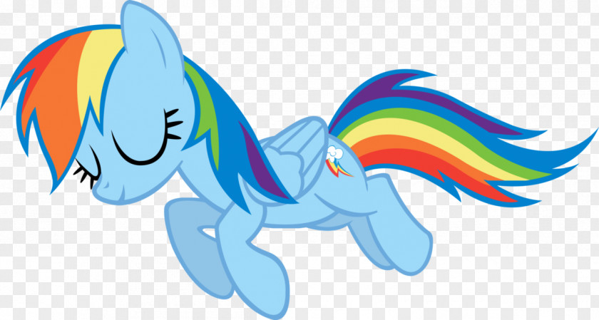 My Little Pony Rainbow Dash Nyan Cat PNG