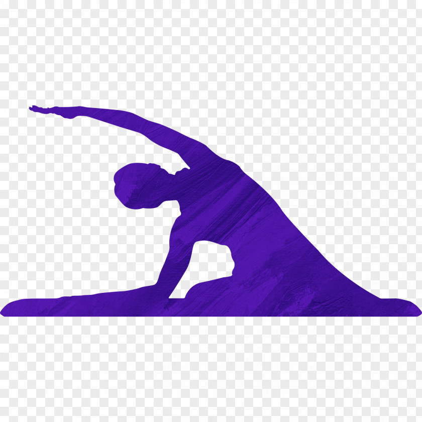 Norway Joyous Yoga Pilates Cph Physical Fitness Silhouette PNG