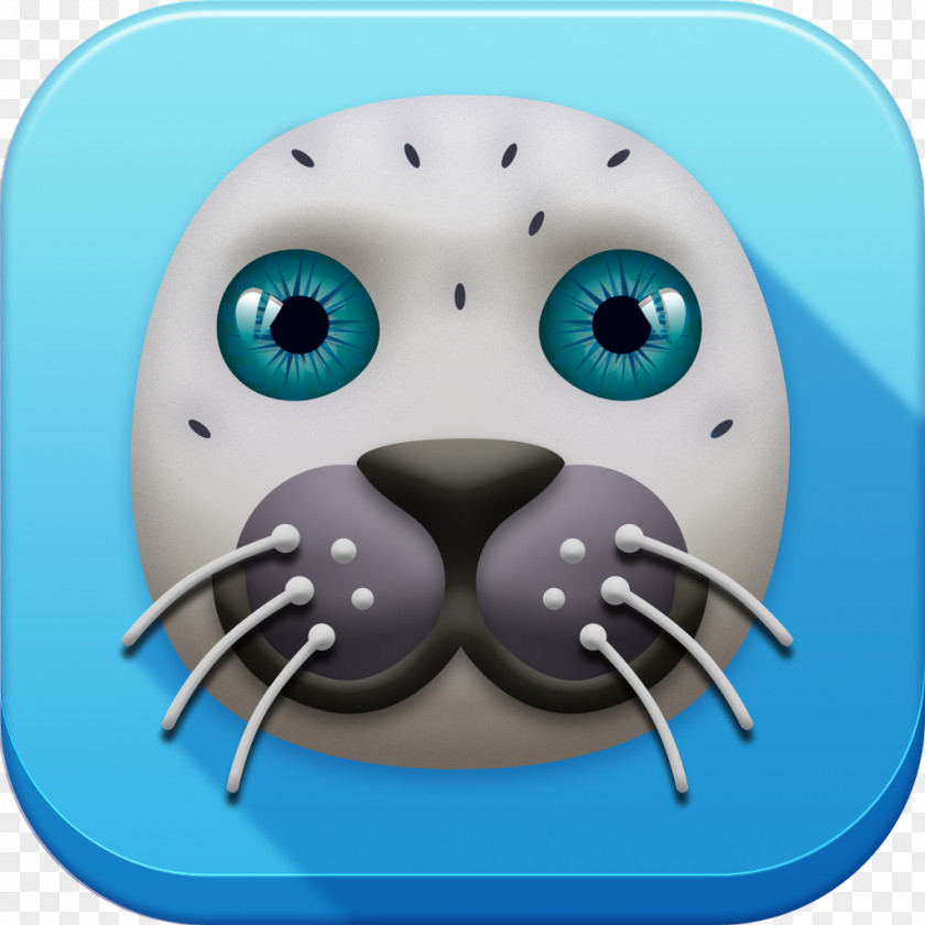 Snout Marine Mammal Animated Cartoon PNG