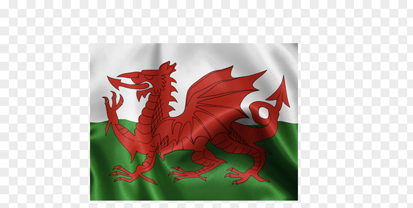 St David Day Flag Of Wales Welsh Dragon National PNG