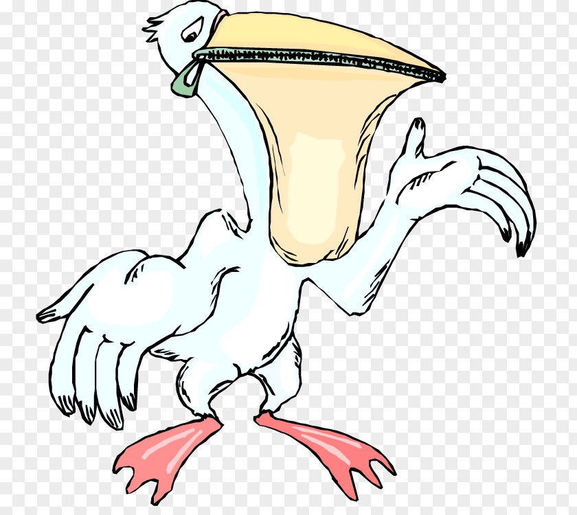 Beak Pelican Clip Art PNG