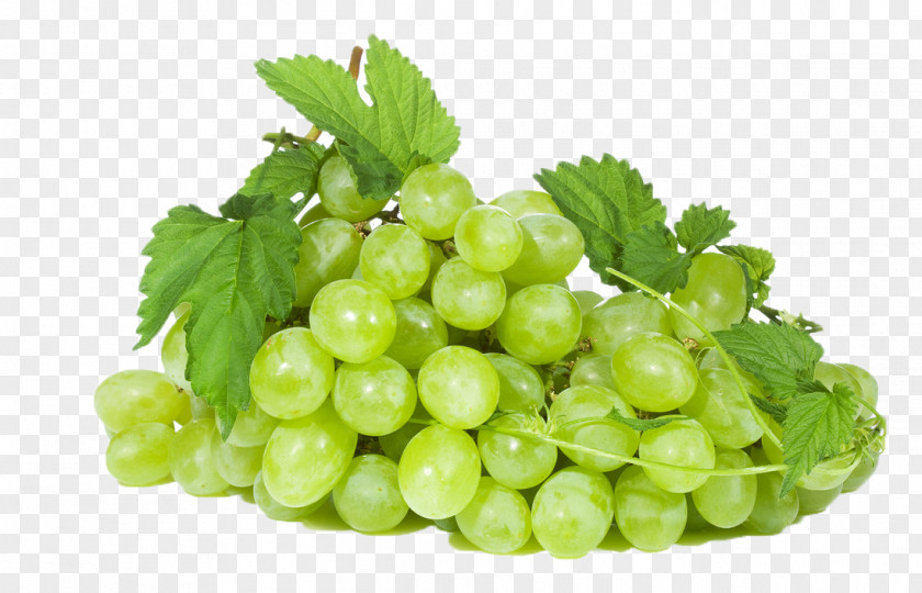 Grape Stock Photography Image Fruit PNG