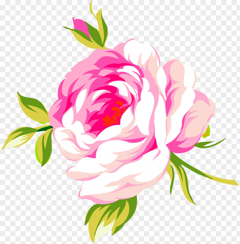 Perfume Beach Rose Flower Garden Roses PNG