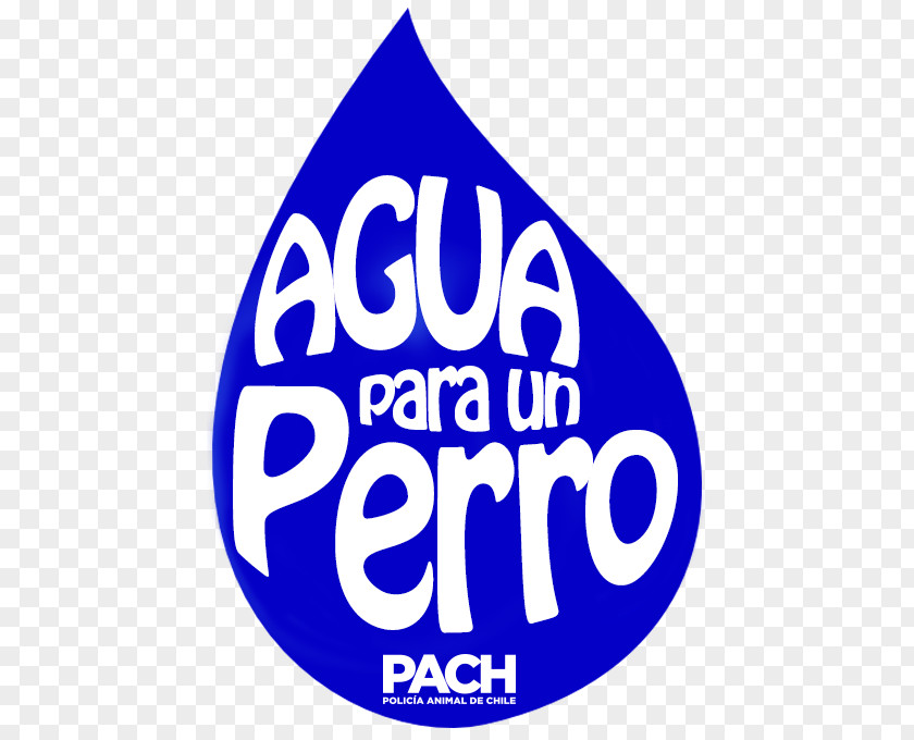 Agua De Perro Street Dog Pet Comedero San Francisco PNG