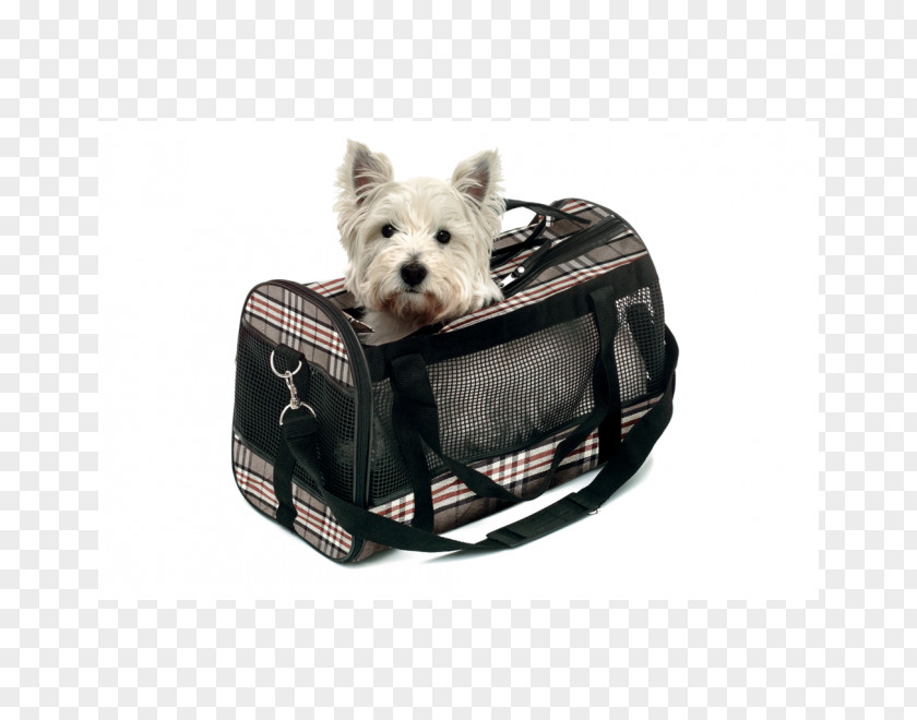 British Style Dog Lucas Y Lola Handbag Cat PNG