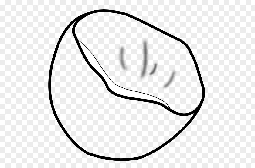 Coconut Black And White Line Art Clip PNG