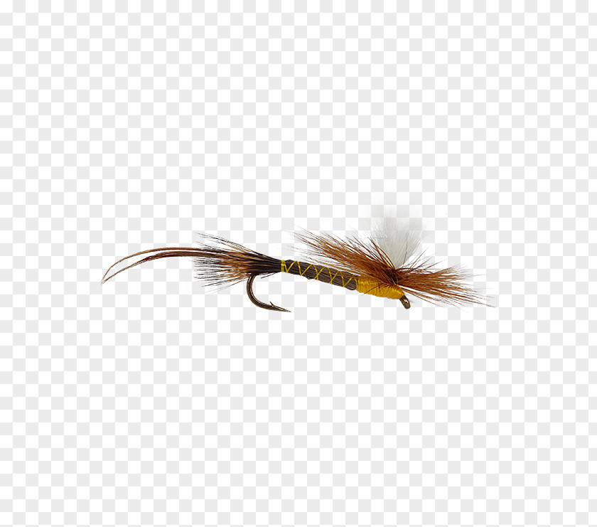 Fly Fishing Hexagenia Limbata Holly Flies Product PNG