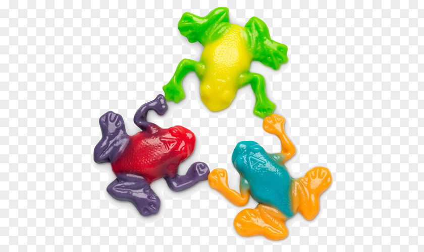 Frog Gummy Candy Albanese Gummi Rainforest Frogs Bear PNG