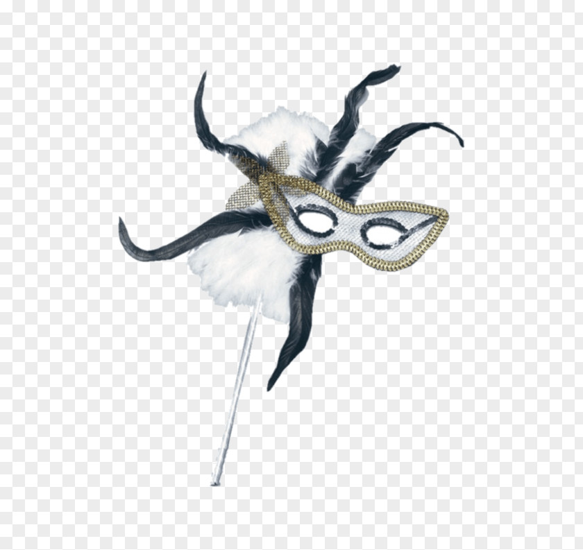 Mask Masquerade Ball White Feather PNG