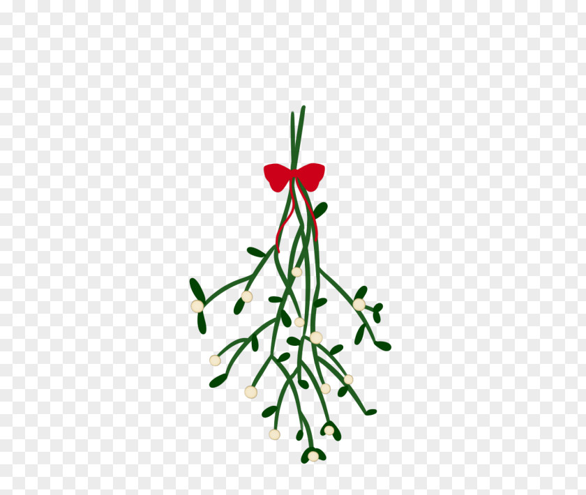 Mistletoe Christmas Lights Tree PNG