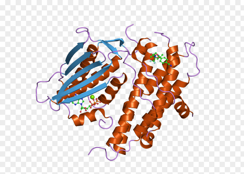 Pyruvate Kinase PDK2 Art Dehydrogenase Isozyme PNG
