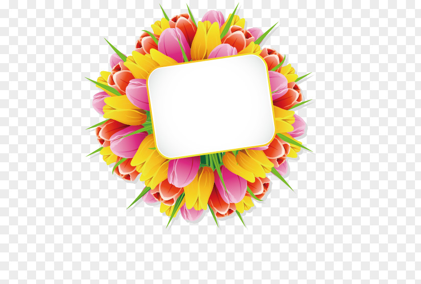 Tulips Tags Flower Euclidean Vector PNG