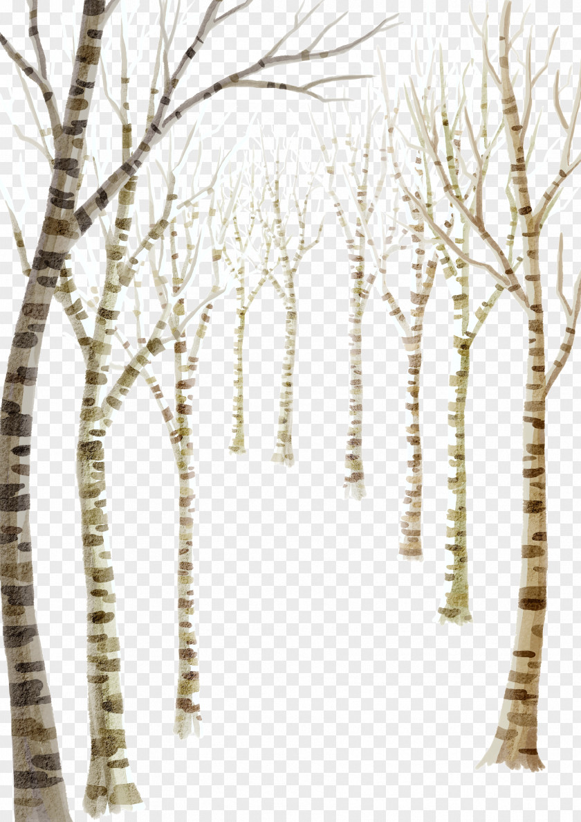 Woods PNG clipart PNG