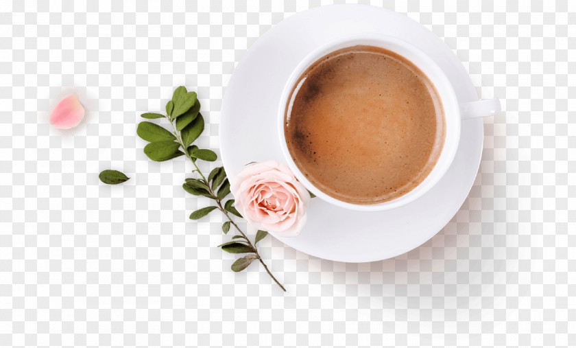 Coffee Espresso Ristretto Dandelion Cup Mate Cocido PNG
