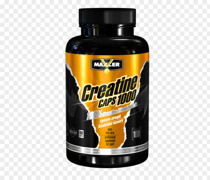 Creatine Bodybuilding Supplement Capsule Whey Protein Nutrition PNG