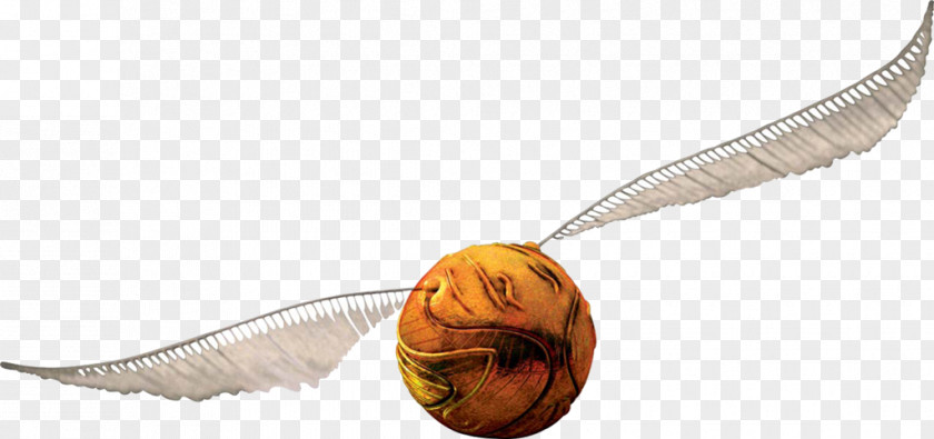 Harry Potter Quidditch Kitu Clip Art PNG