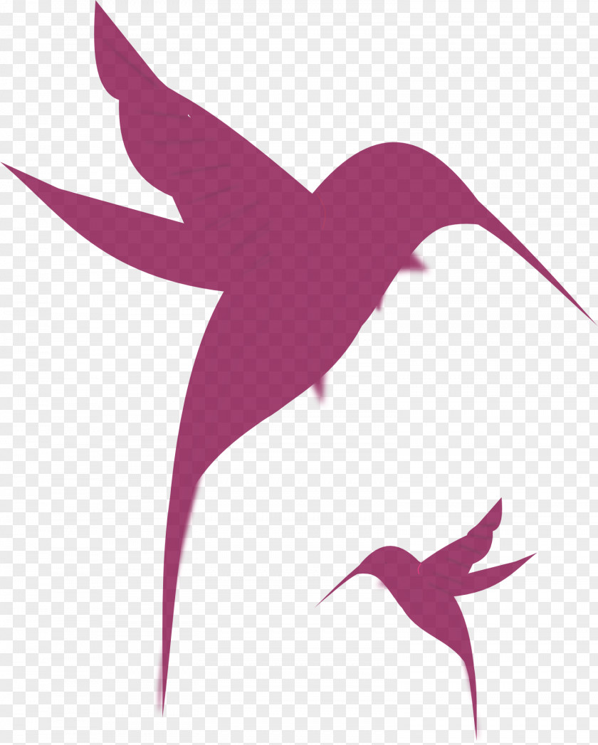 Humming Bird Hummingbird Silhouette Drawing Clip Art PNG