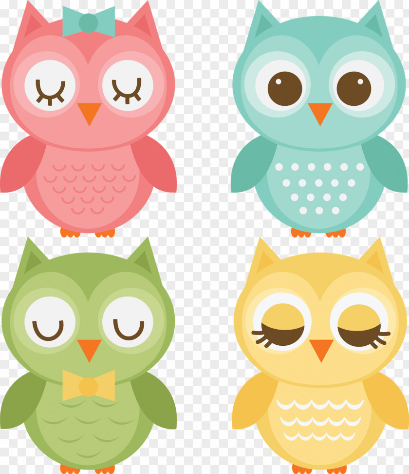 Owls Baby Bird Clip Art PNG