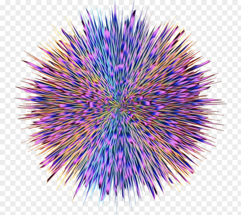 Symmetry Electric Blue Purple Sea Urchin Violet Line Plant PNG
