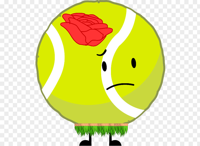 Tennis Balls Babolat Ball Clip Art PNG