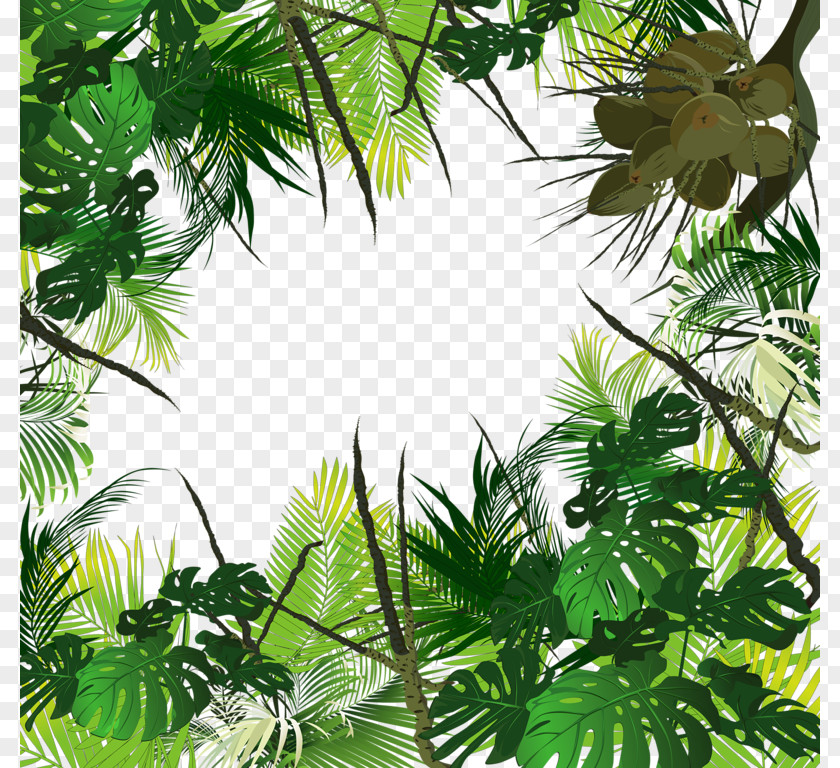 Tropical Trees Forest Amazon Rainforest Jungle Tropics PNG