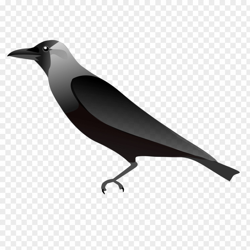 Crow House Clip Art PNG