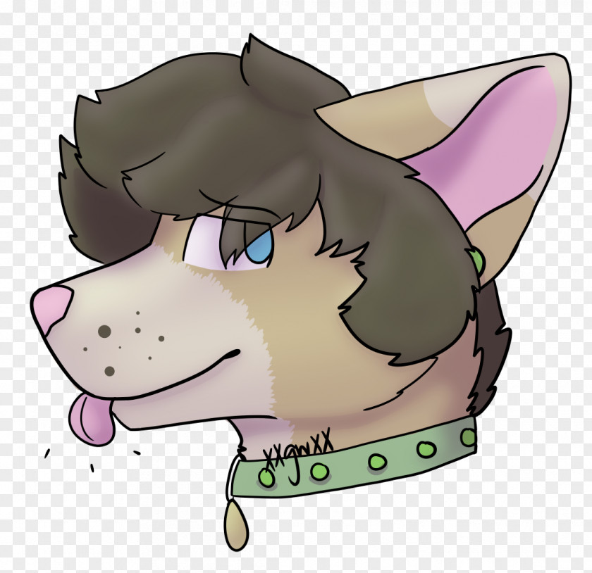 Dog Whiskers Cat Pig Horse PNG