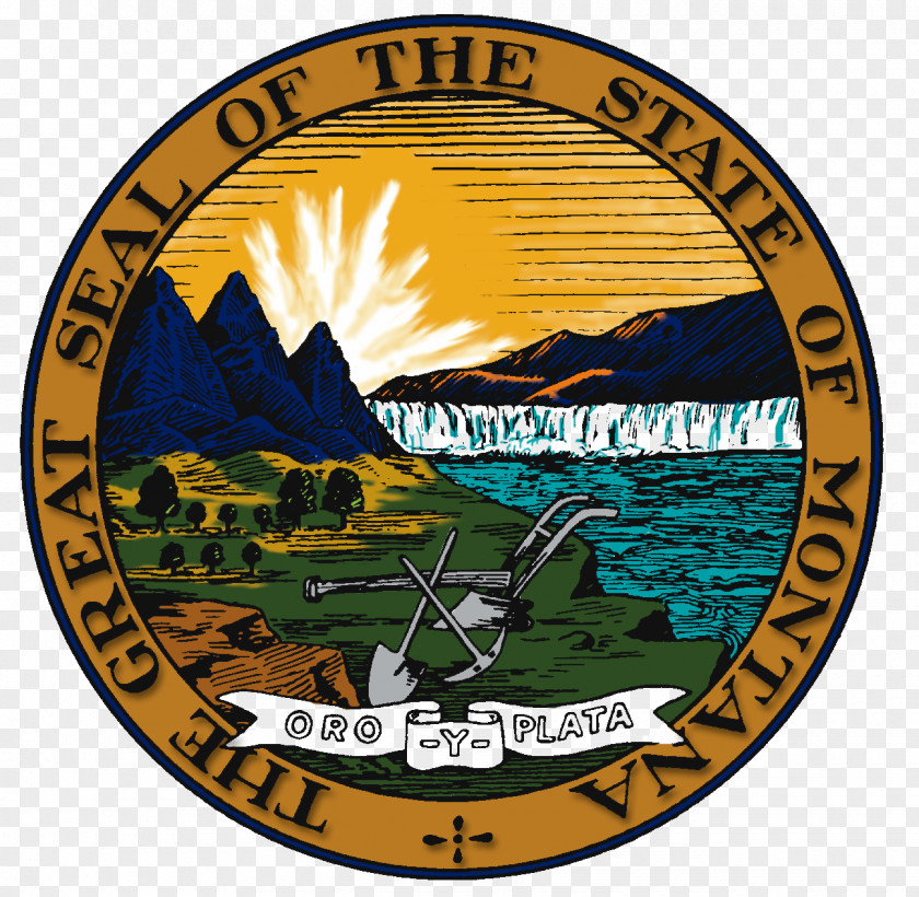 Harbor Seal CASA Of Missoula Supreme Court The United States Montana PNG