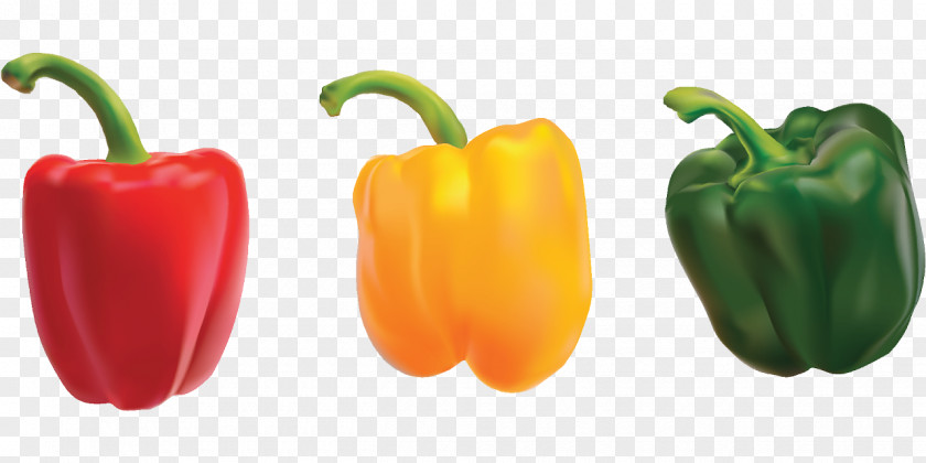 Pepper Bell Chili Vegetable Food Clip Art PNG