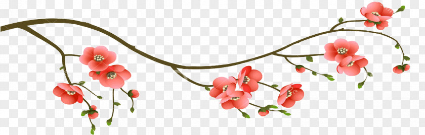 Sakura Branch Cherry Blossom Flower Floral Design PNG