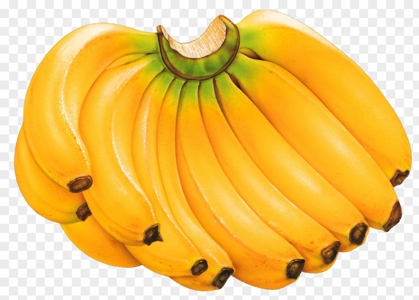 Squash Winter Cartoon Banana PNG