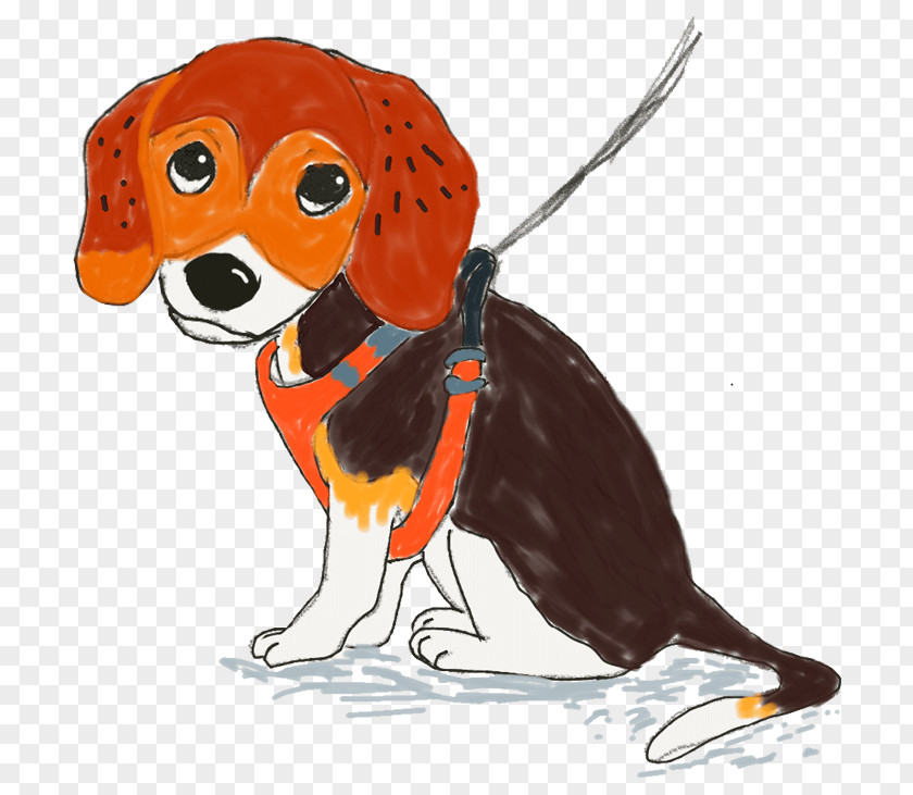 Beagel Illustration Dog Breed Beagle Pet Harness Puppia Leash PNG