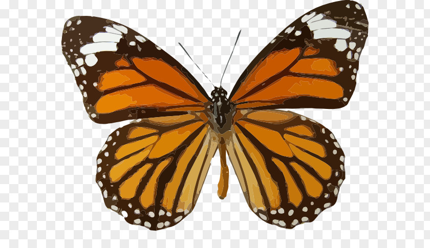 Butterfly Monarch Insect Clip Art PNG