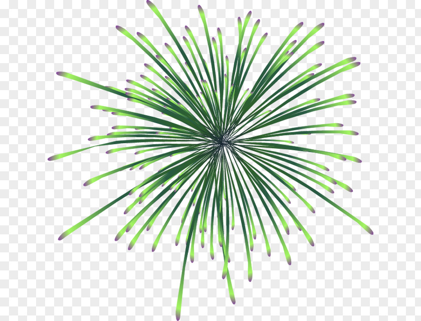 Cool Fireworks Euclidean Vector PNG